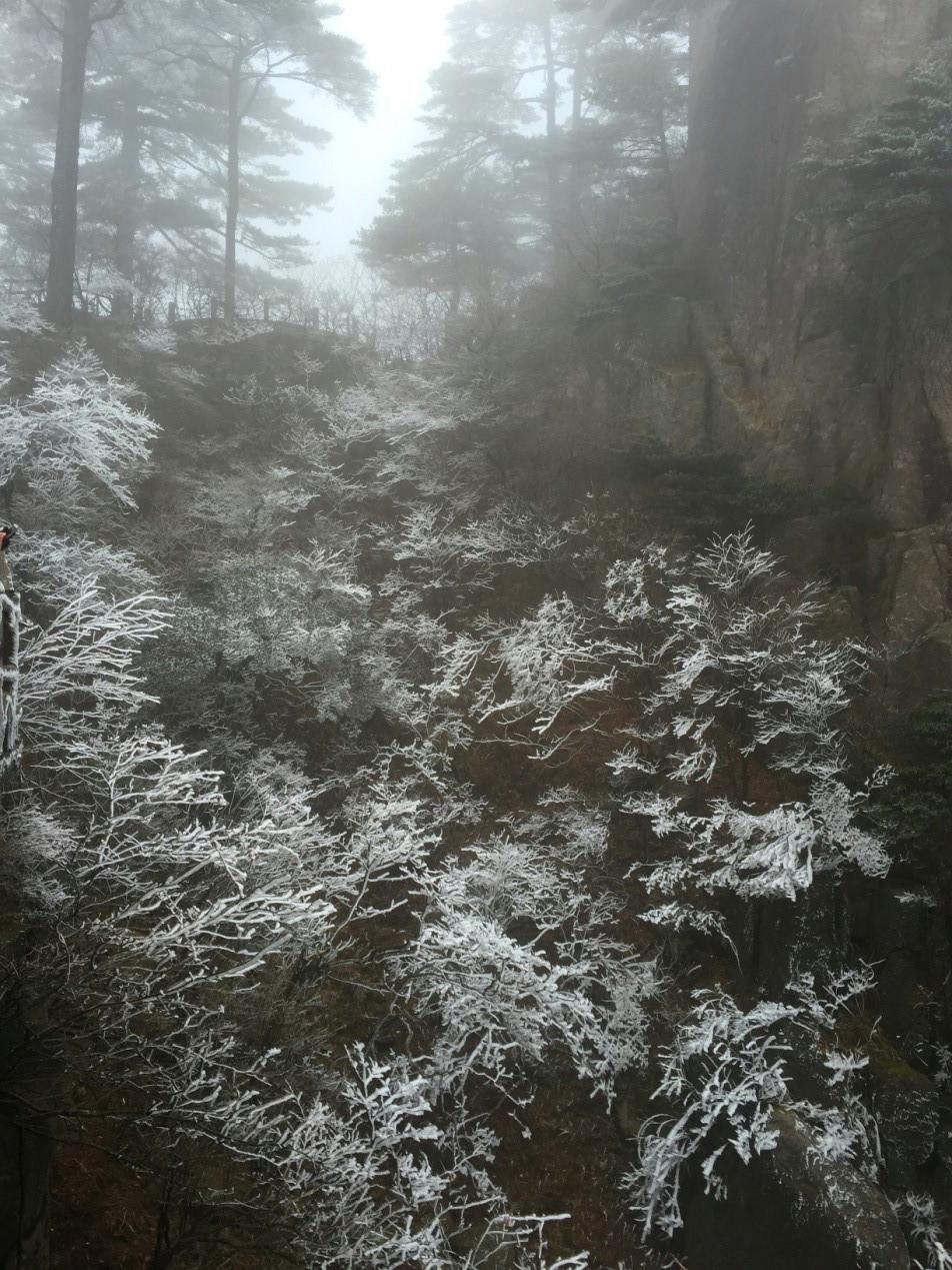 東莞市富興貿(mào)易有限公司